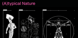 (A)typical Nature: al Palazzo delle Esposizioni la mostra dell’Isia