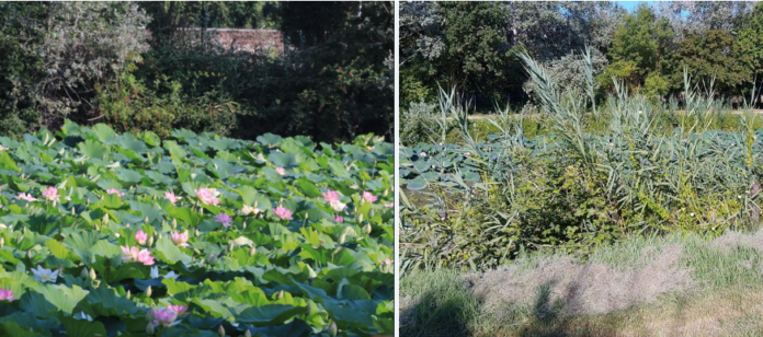 Schermata 2025-07-16 alle 09.20.55