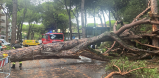 Nubifragio di Cervia: 250mila euro al comune di Cervia dalla Protezione Civile