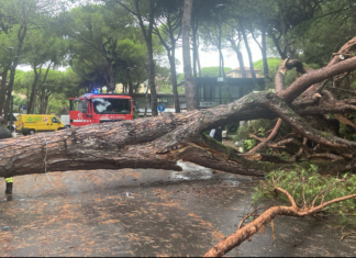 Nubifragio di Cervia: 250mila euro al comune di Cervia dalla Protezione Civile