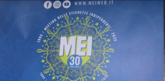 Antonella Ruggiero e Eugenio Finardi: presentati i primi nomi per il nuovo MEI