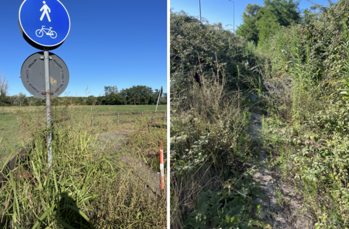 Screenshot 2025-07-30 alle 07.18.26