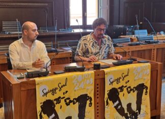 Spiagge Soul 2025: la musica che unisce il mondo sul mare di Ravenna