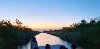 Salina sotto le stelle: serata tra natura e osservazione della volta celeste