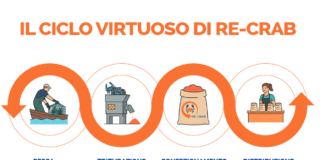 Progetto CRAB: nasce la filiera che trasforma il granchio blu in farina