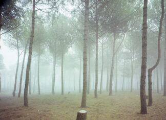 Riparte lunedì 8 settembre la campagna abbonamenti a La Stagione dei Teatri 2025-2026