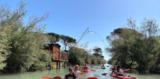 Scopri la Salina di Cervia in canoa