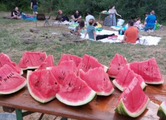Laboratori nel bosco per bambine e bambini al Podere Pantaleone