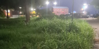 Tritto (FI): Marina di Ravenna abbandonata e in disordine