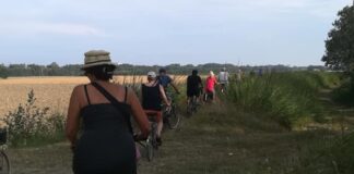 Lido di Classe, Festival Naturae: lunedì pomeriggio visita alla riserva naturale, martedì mattina biciclettata sull’argine del Savio