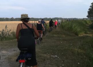Lido di Classe, Festival Naturae: lunedì pomeriggio visita alla riserva naturale, martedì mattina biciclettata sull’argine del Savio