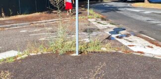 Spadoni (LRa-Lega-Pdf): Totale assenza di manutenzione in via Monte Adamello e zone limitrofe all’ex orto Siboni