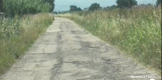 Via Plicca: fra asfalto ammalorato e nuova gestione del canile intercomunale