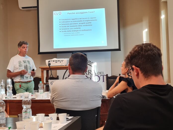 370847783_288039343860617_805352031749325760_n