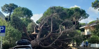 Fratelli d’Italia: “richiesta stato di calamità per Cervia”