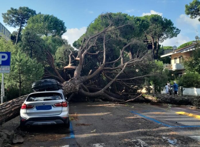 537689593_1071342631816840_7388831265062462611_n