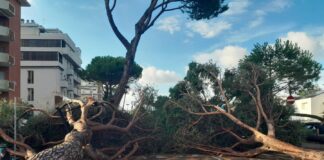 Hera al lavoro a Milano Marittima dopo la tempesta notturna sulla Riviera Romagnola