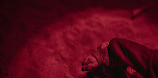 La 84esima tartaruga è nata!