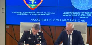 Ricostruzione post-alluvione: rinnovato l’accordo di collaborazione con il Comando unità forestali