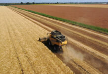 Grando. Coldiretti chiede più controlli sulle importazioni e contratti di filiera a tutela degli agricoltori