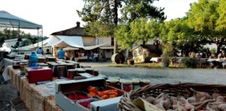 Il Lavoro dei Contadini APS: Festa di fine Estate