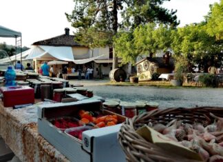 Il Lavoro dei Contadini APS: Festa di fine Estate