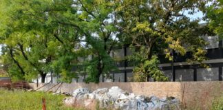 La Pigna: “Rifiuti depositati nel cortile della scuola elementare Pasini”