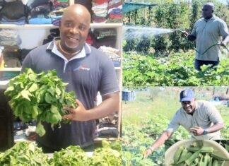 “La terra non inganna mai”: l’orto solidale dell’associazione Il Terzo Mondo