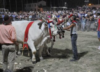 Cotignola: quattro giornate con le tradizioni contadine della Sfujareja