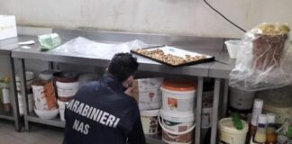 Cucina sporca e prodotti a rischio di contaminazione: chiuso un ristorante