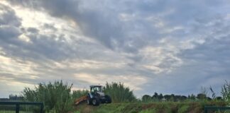 Partiti i lavori di pulizia degli argini del Lamone nell’abitato di Faenza