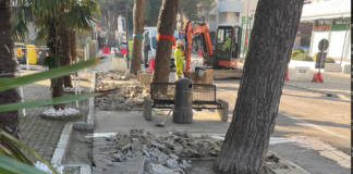 Pini di Lido di Savio: la giunta non risponde sugli interventi precedenti le prove di trazione