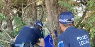Campeggia abusivamente in via Miserocchi: interviene la Polizia Locale