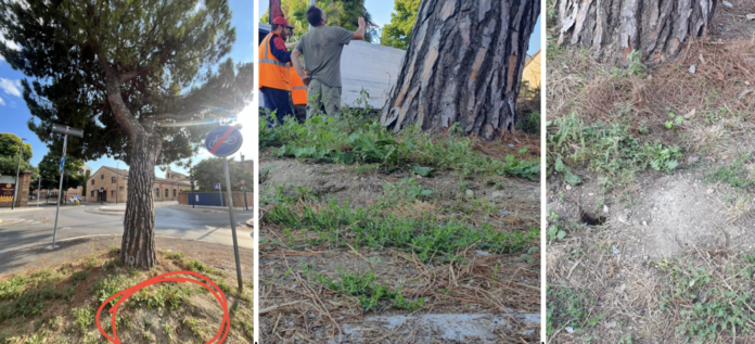 Screenshot 2025-08-08 alle 08.03.41