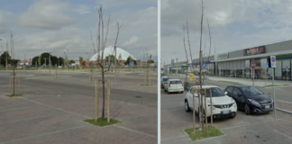 Ancisi (LpRa): Alberini secchi nei parcheggi della maxi lottizzazione commerciale in zona de André