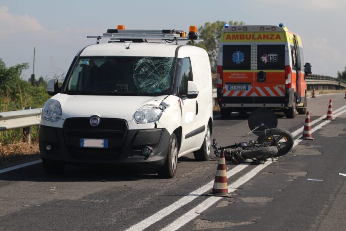 WhatsApp Image 2025-08-22 at 17.21.16