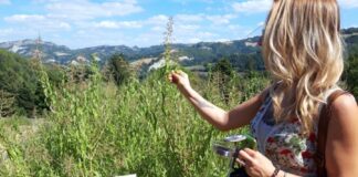 Tra natura e benessere: le attività di settembre al Giardino delle Erbe “Augusto Rinaldi Ceroni”