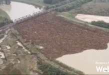 Ponte di Boncellino: diffida dei comitati a Regione, Ministero e RFI