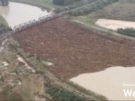 Ponte di Boncellino: diffida dei comitati a Regione, Ministero e RFI
