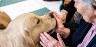 Emilia Romagna apre a cani e gatti le residenze per anziani e disabili