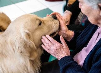 Emilia Romagna apre a cani e gatti le residenze per anziani e disabili