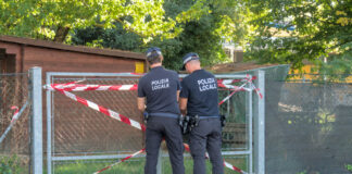 Bagnacavallo: Puntura di vespe al parco, donna in shock anafilattico salvata dal 118