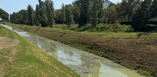 Grandi (FdI): “Sfalci d’erba gettati nell’acqua dello scolo Lama, è previsto anche questo dal contratto di appalto?”