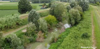 Ferrero (Fdi): Interrogazione regionale per la pulizia fiume Lamone