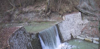 Alluvione. Ordine Agronomi e Forestali: “Servono piani integrali di bacino per la sicurezza del territorio”
