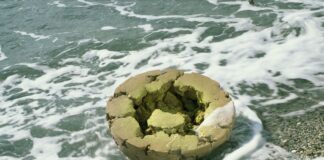 “La Bellezza Esiste”: inaugurazione al Museo Carlo Zauli