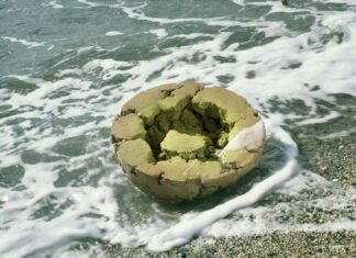 “La Bellezza Esiste”: inaugurazione al Museo Carlo Zauli