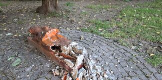 Smentita la vandalizzazione di Bacco: è stato lo stesso Giorgio Palli a distruggere l’opera