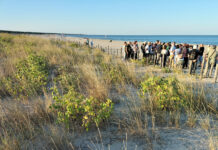 Pubblicato il progetto per la duna di porto Corsini. Europa Verde: “Salvata l’area naturale”