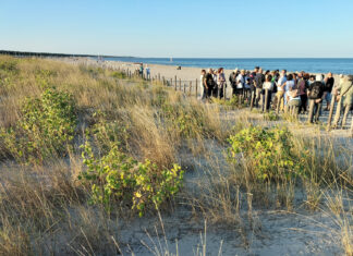 Pubblicato il progetto per la duna di porto Corsini. Europa Verde: “Salvata l’area naturale”